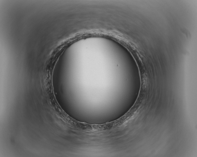 X0000110861494200906181130