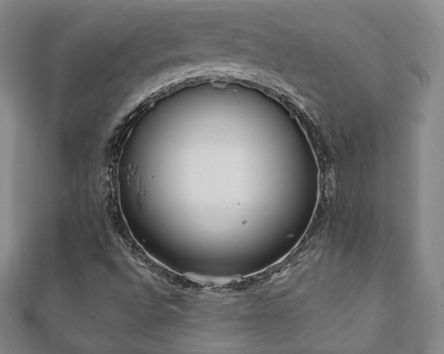 X0000110861496200906181130