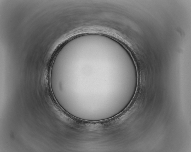 X0000110861498200906181130