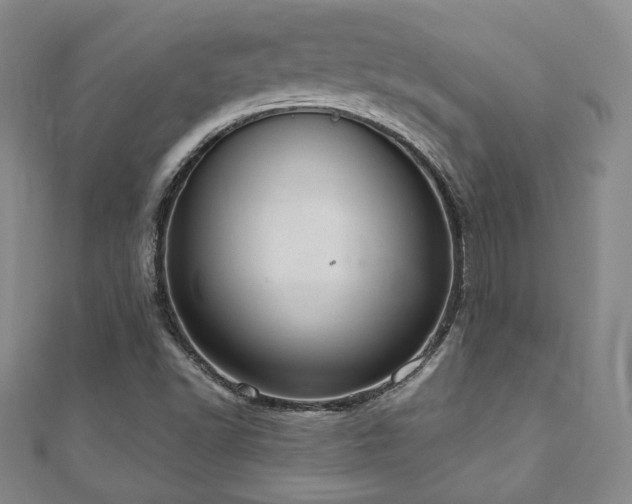 X0000110861502200906181130
