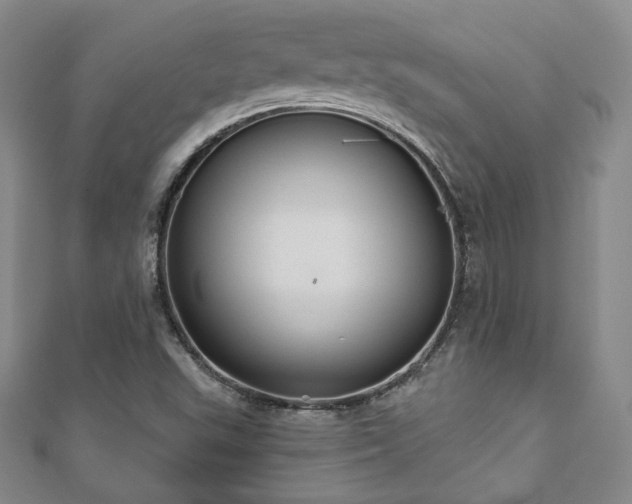 X0000110861503200906181130