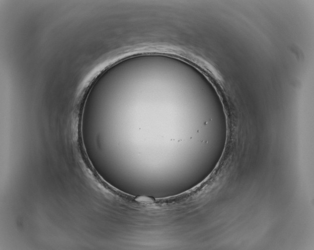 X0000110861504200906181130