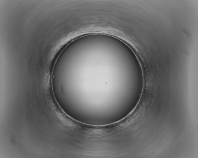 X0000110861507200906181130