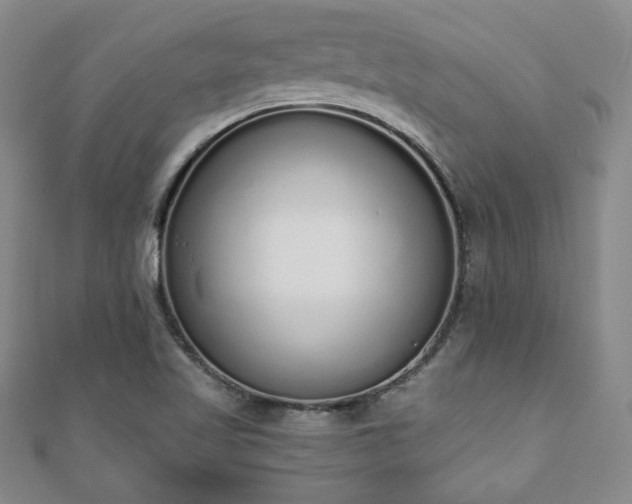 X0000110861509200906181130
