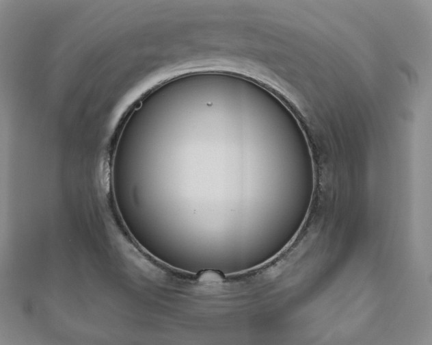 X0000110861510200906181130