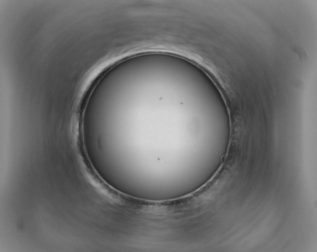 X0000110861511200906181130