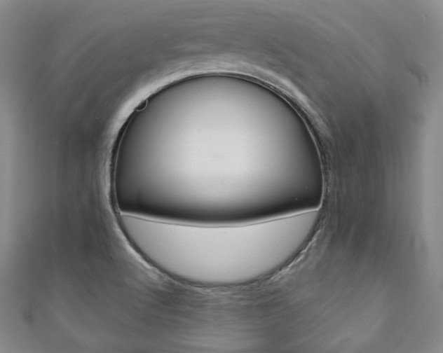 X0000110861512200906181130