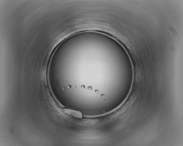 X0000110861513200906181130