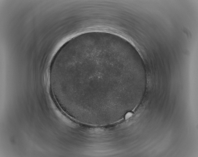 X0000110861515200906181130
