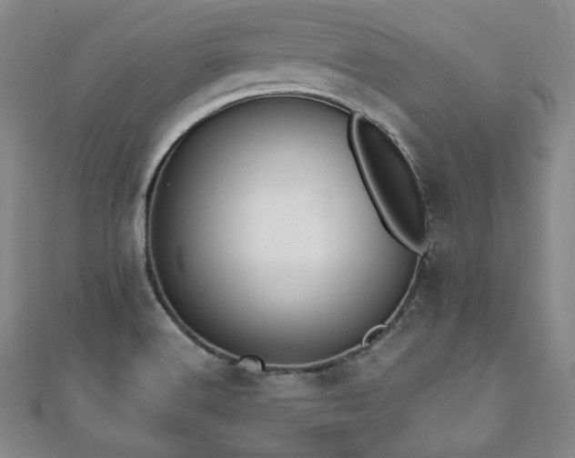 X0000110861516200906181130