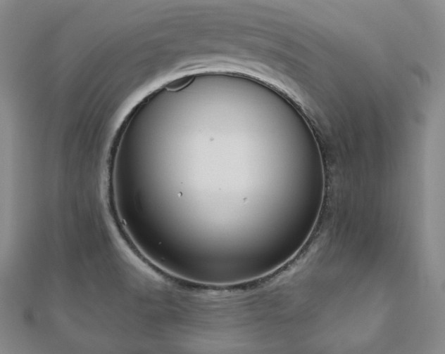 X0000110861518200906181131