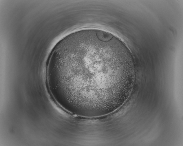 X0000110861519200906181131