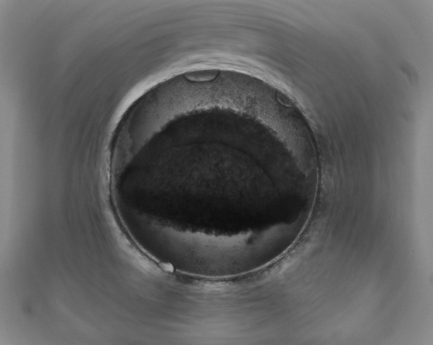 X0000110861522200906181131