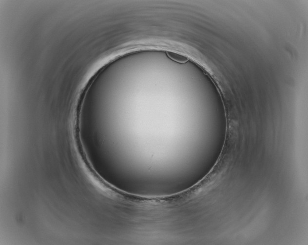 X0000110861523200906181131