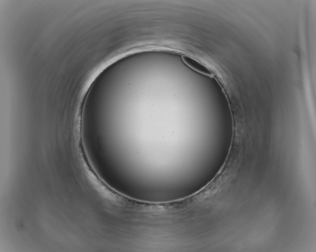 X0000110861524200906181131
