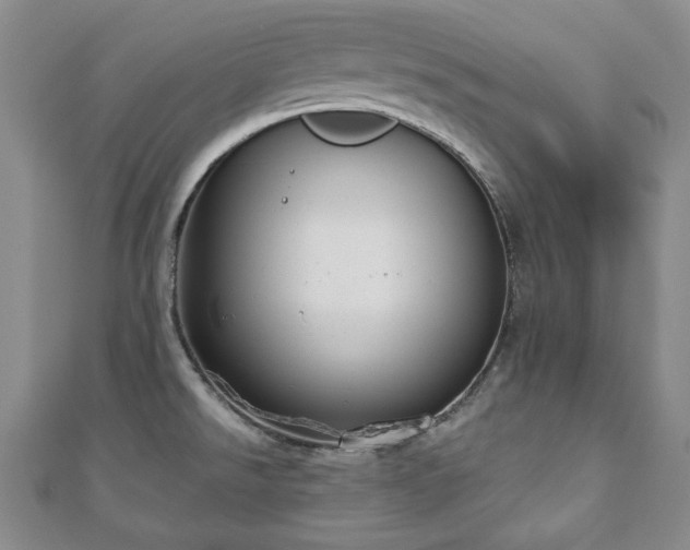 X0000110861526200906181131