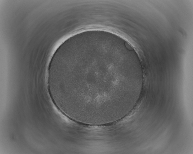X0000110861527200906181131