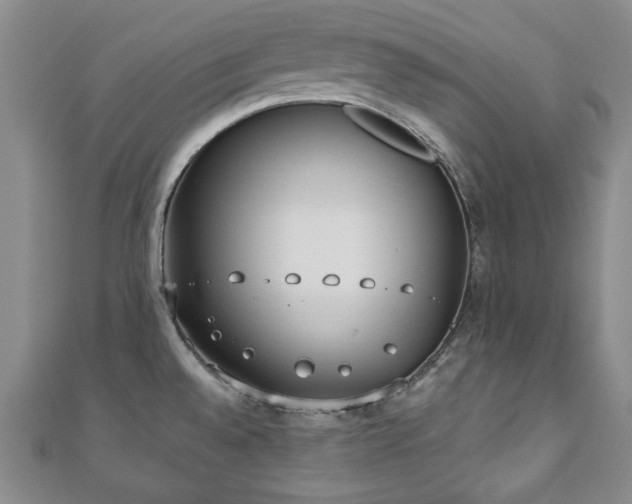 X0000110861528200906181131