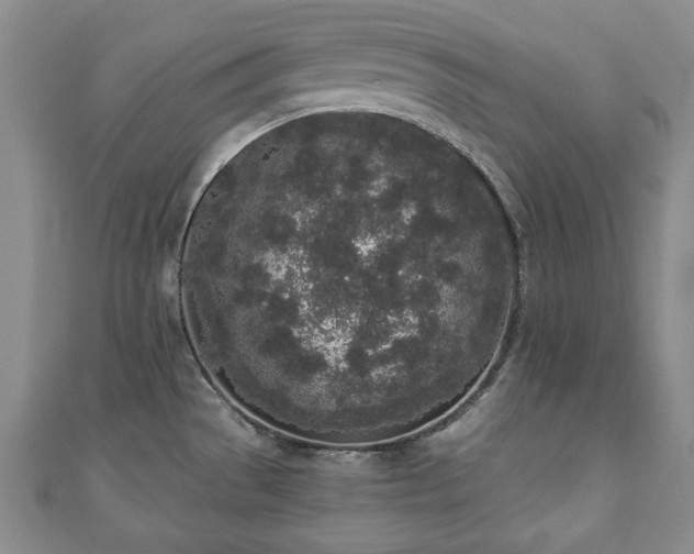 X0000110861529200906181131