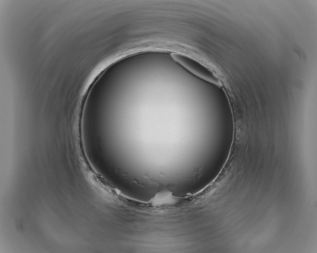 X0000110861530200906181131