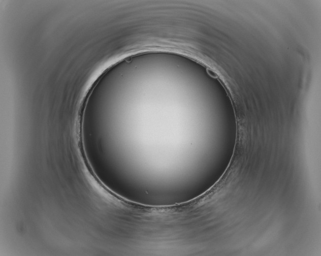 X0000110861531200906181131