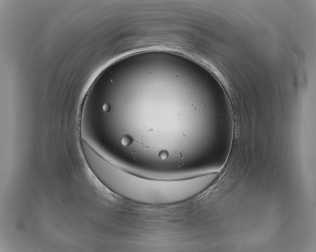 X0000110861532200906181131