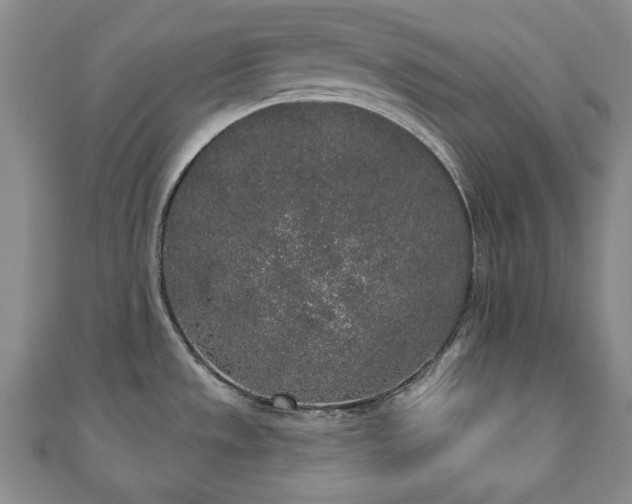 X0000110861533200906181131