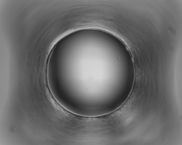 X0000110861534200906181131