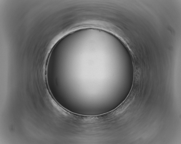 X0000110861535200906181131