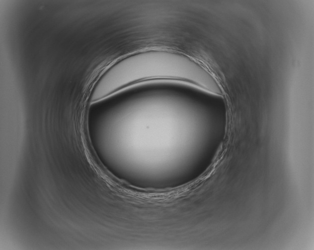 X0000110860001200906251218