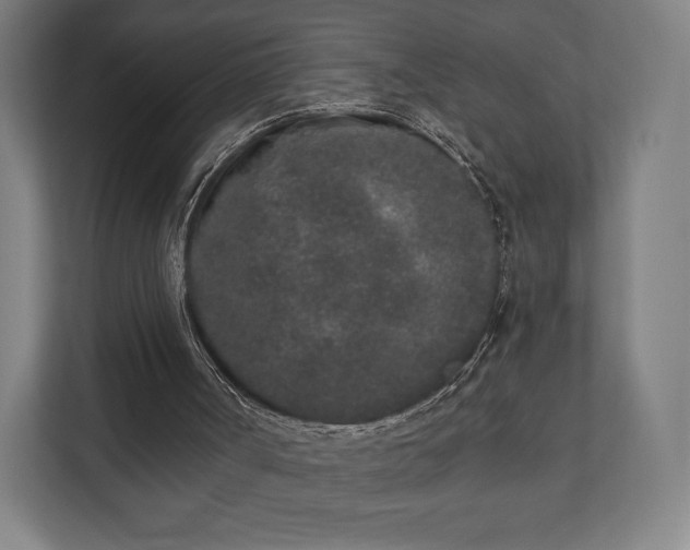 X0000110860002200906251218