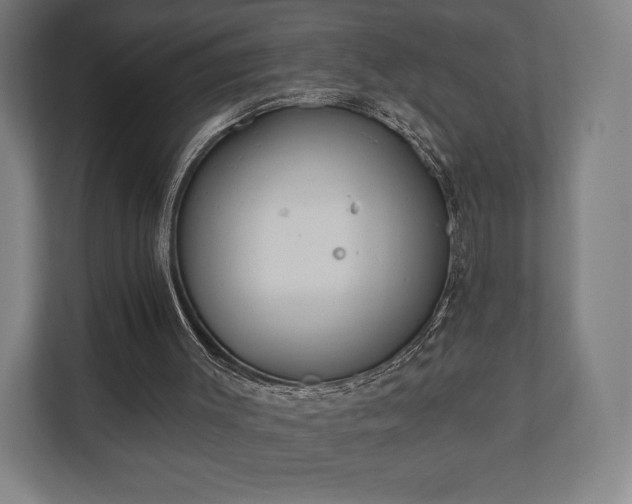 X0000110860003200906251218