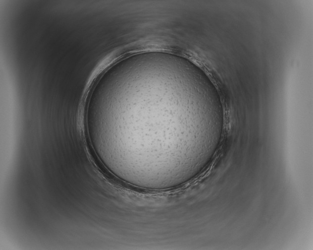 X0000110860004200906251218