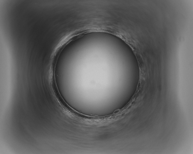 X0000110860005200906251218