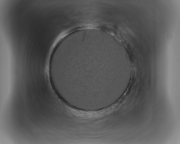 X0000110860006200906251217