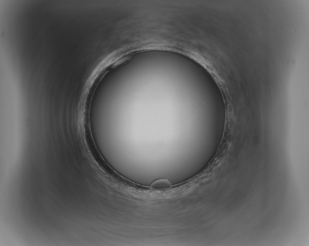 X0000110860007200906251217