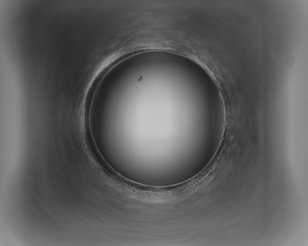 X0000110860008200906251217