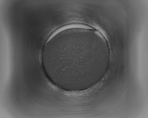 X0000110860009200906251217