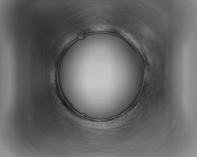 X0000110860010200906251217