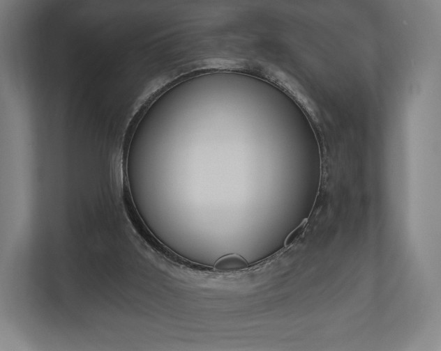 X0000110860011200906251217