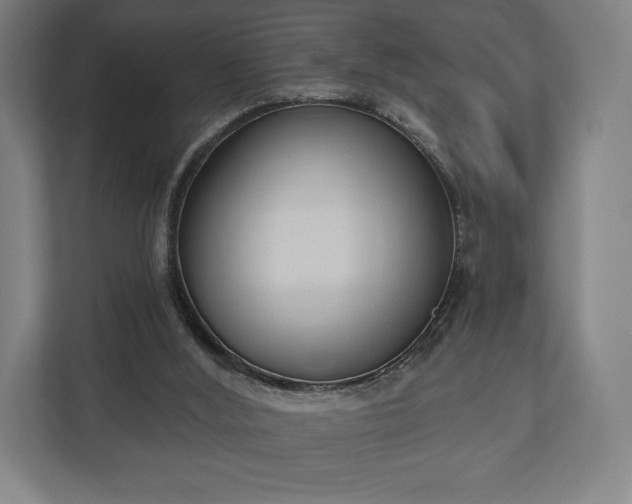 X0000110860012200906251217