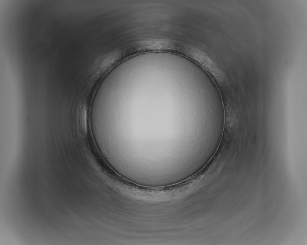 X0000110860014200906251217