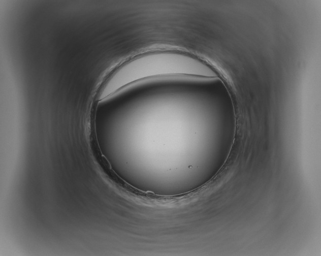 X0000110860015200906251217