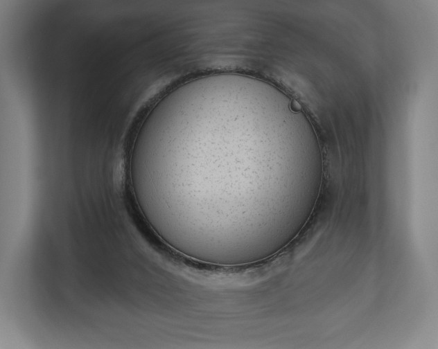 X0000110860016200906251217