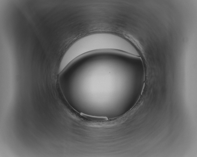 X0000110860017200906251217