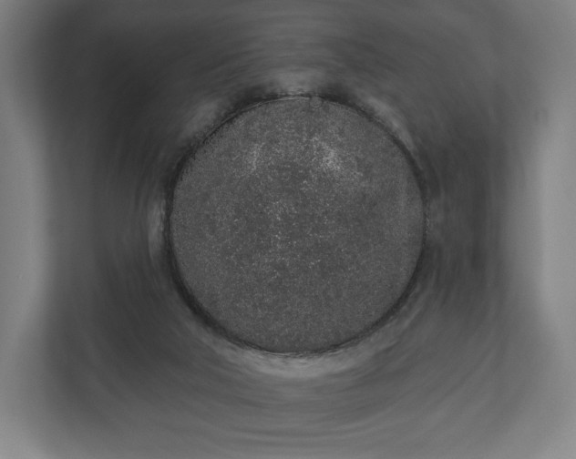 X0000110860018200906251217