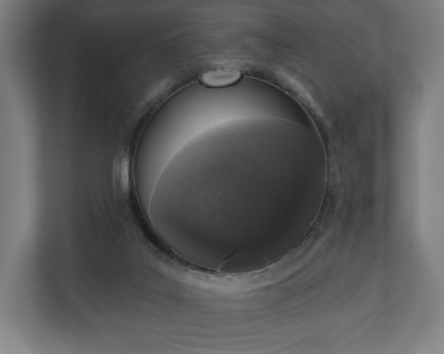 X0000110860019200906251217