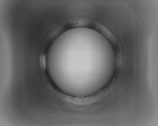 X0000110860022200906251217