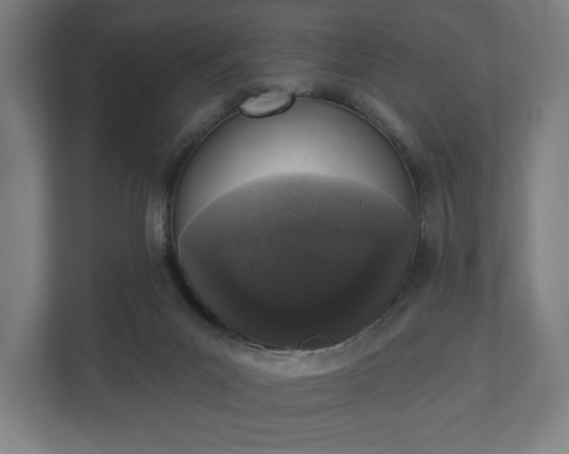 X0000110860023200906251217