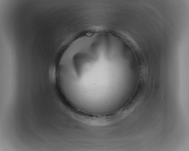 X0000110860024200906251217